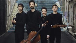 Il "Concert &agrave; la carte" del Wassily Quartet a Napoli il 27 marzo