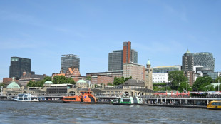 Obdachlose Frau will in Hamburger S-Bahn-Tunnel schlafen - Strecke gesperrt