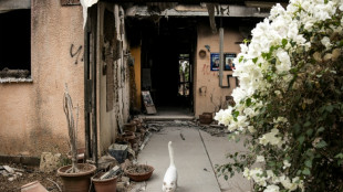 Leiche von Deutsch-Israeli und weiterer Hamas-Geisel nach Übergabe an Israel identifiziert