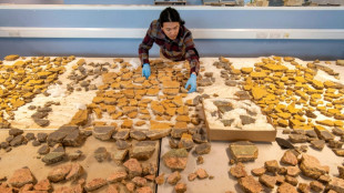 2,000-year-old Roman wall paintings unearthed in London