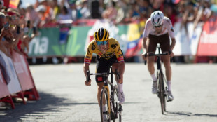 Roglic wins Tirreno-Adriatico as Philipsen takes final stage