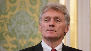 Mosca,non c'entriamo nel guasto all'aereo di von der Leyen