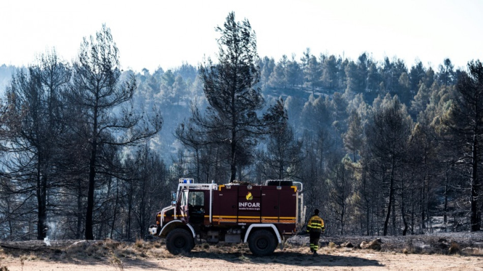 Espagne: &eacute;volution favorable du premier feu de for&ecirc;t majeur de l'ann&eacute;e