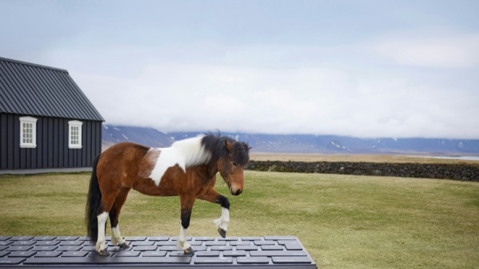 Islandia propone delegar en sus caballos la respuesta autom&aacute;tica de correos por vacaciones