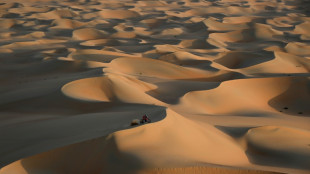 Dakar Rally to remain in Saudi Arabia, say organisers  