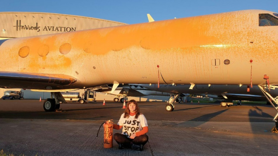 Klimaaktivistinnen bespr&uuml;hen Privatjets nahe London - vor Taylor-Swift-Konzerten