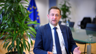 Agrarkommissar: EU wird Importe aus der Ukraine reduzieren