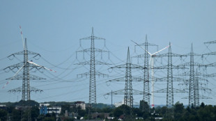 Erste Daten: Stromnetzentgelte für Endkunden sinken zum Jahreswechsel deutlich