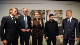 Merz erwartet Entscheidung über russische Vermögenswerten auf EU-Gipfel in drei Wochen