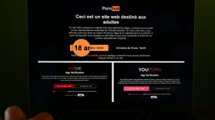 Vérification de l'âge: Youporn et Pornhub réactivés en France par leur propriétaire