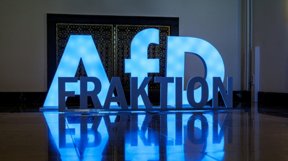 AfD ruft 45 Millionen Euro Steuergeld nicht ab &ndash; neue Spenden k&ouml;nnten das &auml;ndern