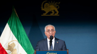 Schah-Sohn Pahlavi: Islamische Republik Iran wird fallen