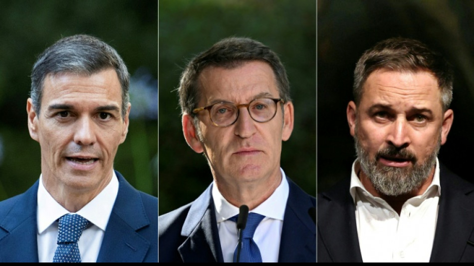 Espagne: Pedro S&aacute;nchez lance sa campagne en promettant de "renforcer" la loi sur le logement