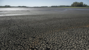 Jefe de la ONU considera "lamentable" la respuesta mundial al cambio clim&aacute;tico &nbsp; 