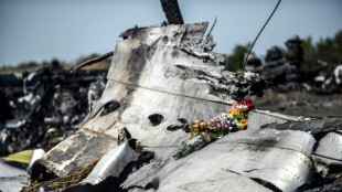 Une agence de l'ONU juge la Russie responsable de la destruction du MH17, des pays demandent r&eacute;paration