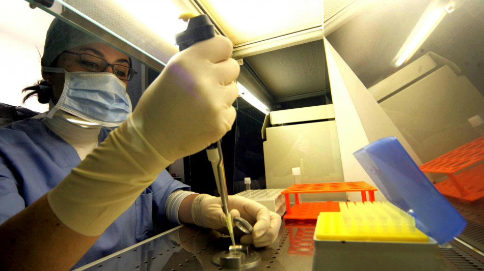 Scoperti nuovi indizi sull'invecchiamento ovarico