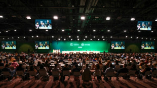 Proposta de 'redu&ccedil;&atilde;o' das energias f&oacute;sseis na COP28 provoca onda de cr&iacute;ticas