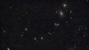 Il telescopio europeo Euclid festeggia il Natale con una ghirlanda galattica