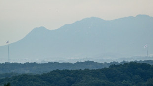North Korean DMZ landmine blast 'violation of armistice'