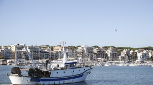 Masaf, Cambiale azzurra apre il portale per le domande, 10 milioni per la pesca