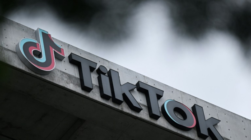 TikTok come&ccedil;a a hospedar na Irlanda dados de seus usu&aacute;rios europeus