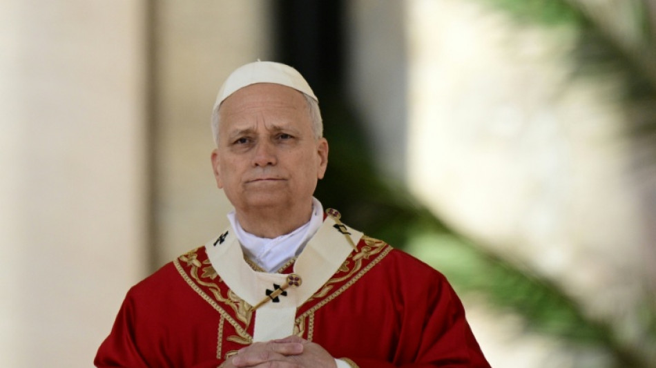 Pope Leo celebrates first Easter amid Middle East war