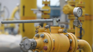 Il gas conclude in calo (-2,2%) a 32,9 euro al Megawattora