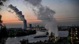 Geld pro eingesparter Tonne CO2: Staatliche F&ouml;rderung f&uuml;r Industrieinvestitionen