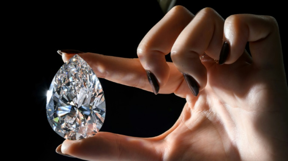 A Gen&egrave;ve, le plus gros diamant blanc jamais mis aux ench&egrave;res