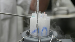 Pr&egrave;s de 200 enfants con&ccedil;us avec un donneur danois porteur d'un risque de cancer