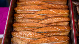 Greenpeace: Fisch und Muscheln aus Nord- und Ostsee teils stark mit PFAS belastet