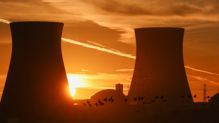 Pichetto, il nucleare arriver&agrave; fra 15 anni ma &egrave; la scelta del futuro