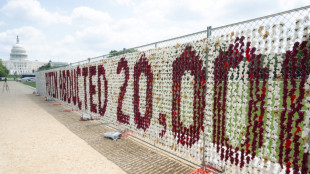 Stuffed toys in US capital symbolize displaced Ukrainian children