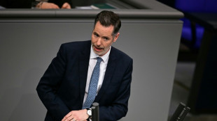 "Linke Wirtschaftspolitik": FDP-Fraktionschef D&uuml;rr wirft Merz Wortbruch vor