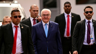 Presidente alem&atilde;o pede fim da guerra no Oriente M&eacute;dio para evitar consequ&ecirc;ncias 'desastrosas'