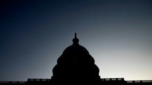 Kongress verhindert Zahlungsausfall der USA in letzter Minute