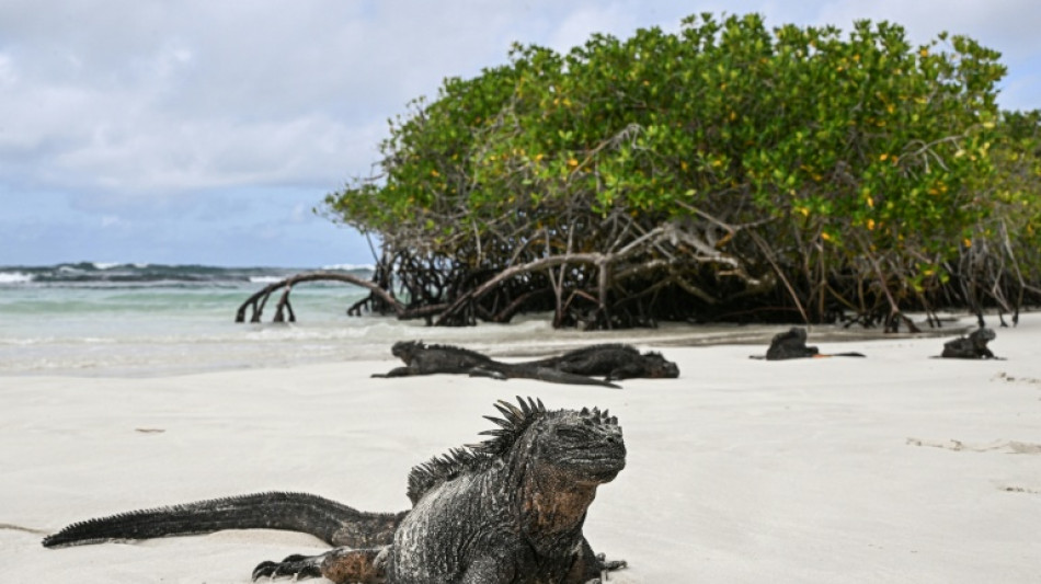 EEUU y Ecuador descartan instalar una base militar en Galápagos