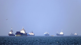 'Start your engines'? Shipping groups wary on Hormuz reopening