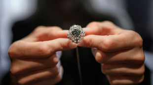 Rare 'Ocean Dream' blue-green diamond sells for $17 mn at auction