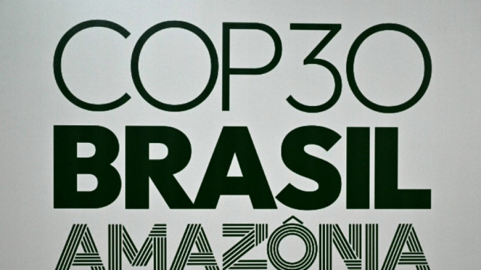 Alabali Radovan dringt in Belém auf Fortschritte bei Klimaschutz und -finanzierung