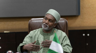 Nigeria signals more strikes likely in 'joint' US operations