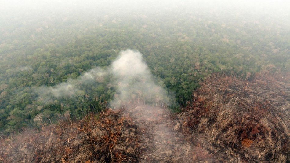 D&iacute;a de la Amazon&iacute;a: Los incendios se disparan en el arranque de septiembre
