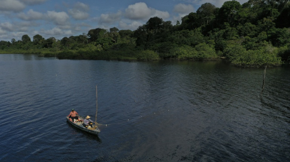 Sequía extrema y aguas con temperatura de jacuzzi diezmaron delfines en Brasil en 2023 (estudio)