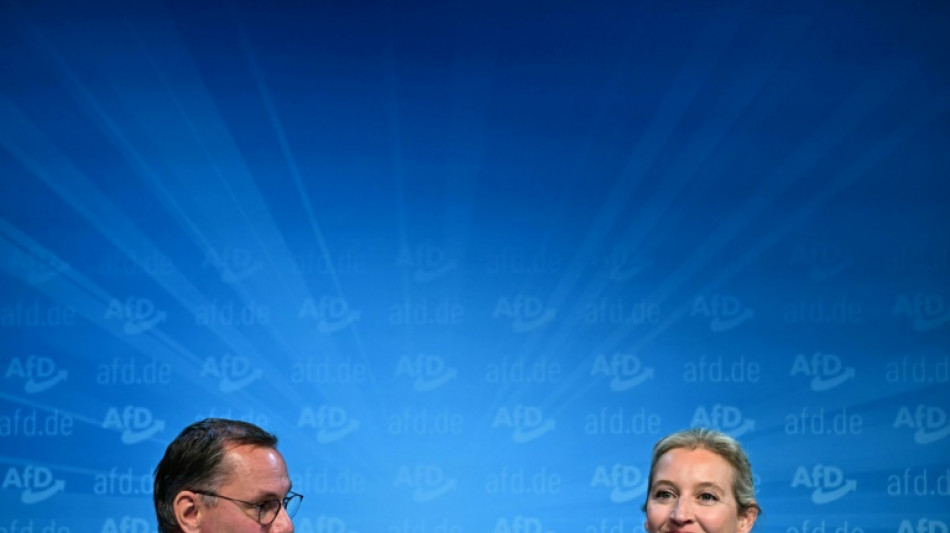 Landesminister Pegel fordert Einblick in AfD-Gutachten f&uuml;r Bundesl&auml;nder