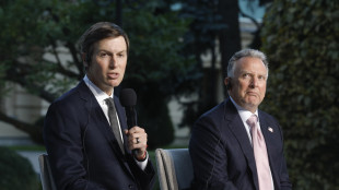 Cremlino, 'non sono previsti incontri con i negoziatori Usa, Witkoff e Kushner'