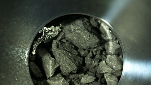 Ingredients of life discovered in Ryugu asteroid samples