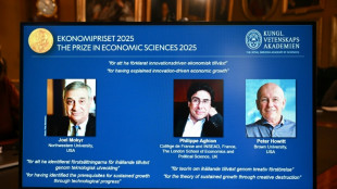 Trio vence o Nobel da Economia por estudos sobre crescimento e inovação
