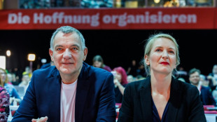 Linke sieht sich trotz verpassten Parlamentseinzugs in Rheinland-Pfalz im Aufwind