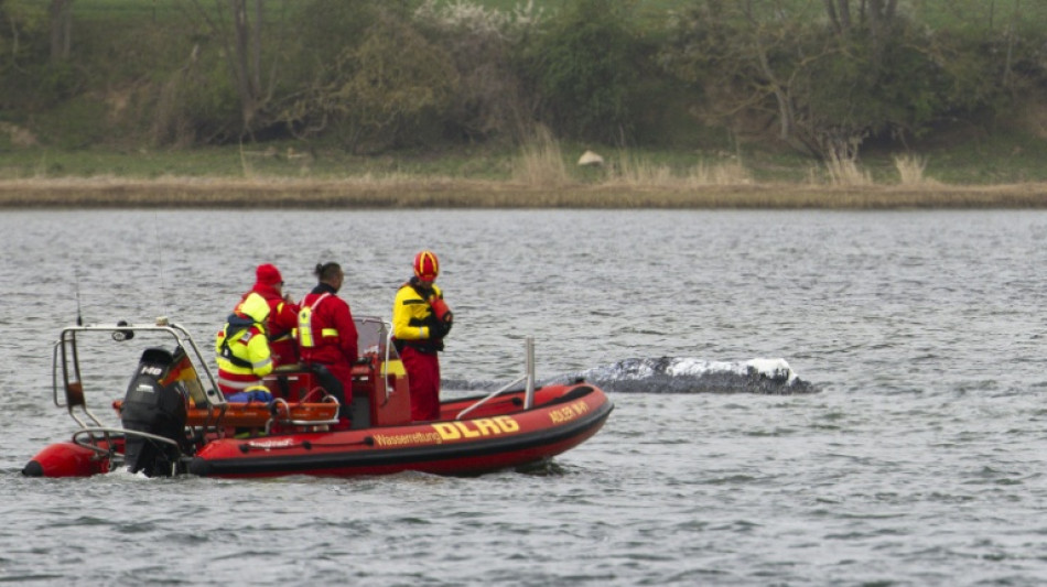 Entscheidende Phase in Waldrama: Rettungsversuch mit Lastkahn am Dienstagmorgen