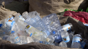 Dai batteri mangiaplastica il farmaco contro il Parkinson